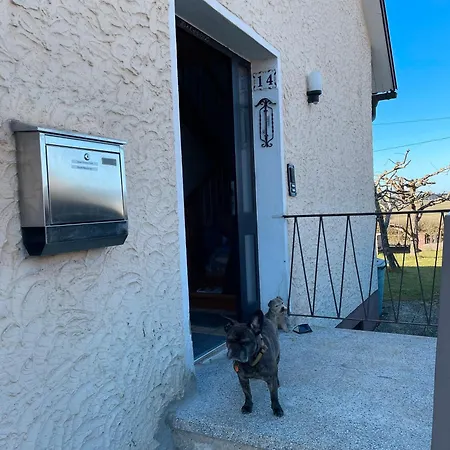 Appartement Hund Und Kind *