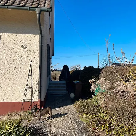 דירה Hund Und Kind